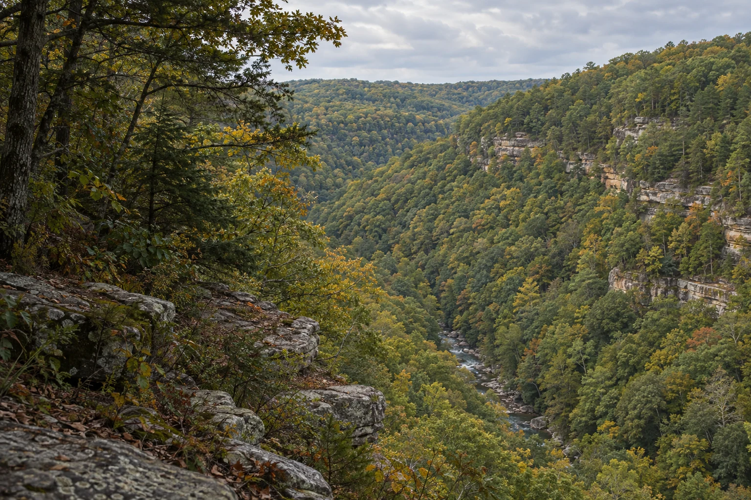 Editorial illustration of Lilly Bluff Overlook above Clear Creek's forested sandstone gorge at Obed Wild and Scenic River in Tennessee